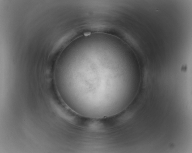 X0000114660258200910201537