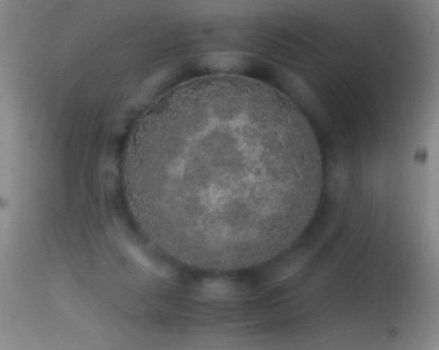 X0000114660259200910201537