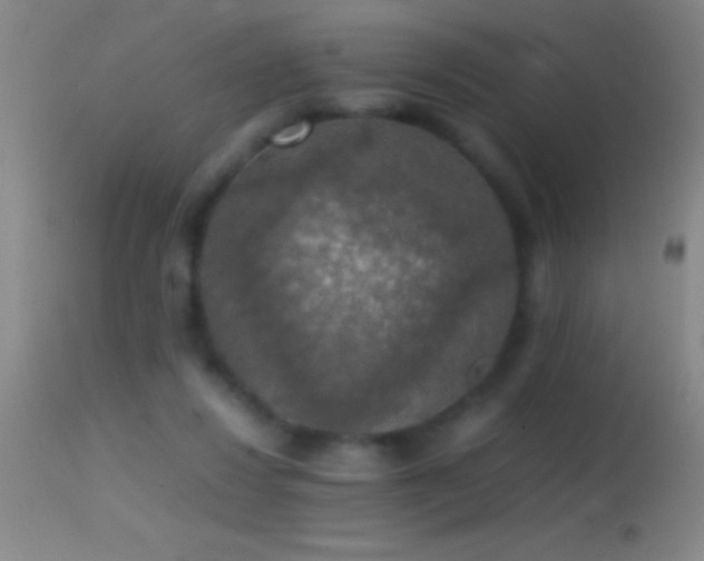 X0000114660260200910201537