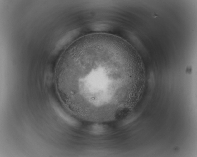 X0000114660261200910201537