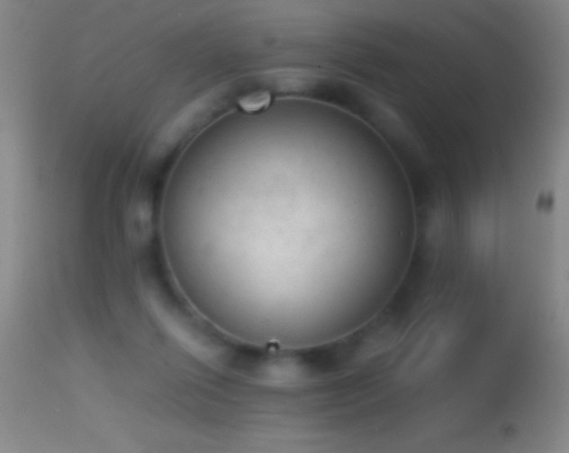 X0000114660262200910201537