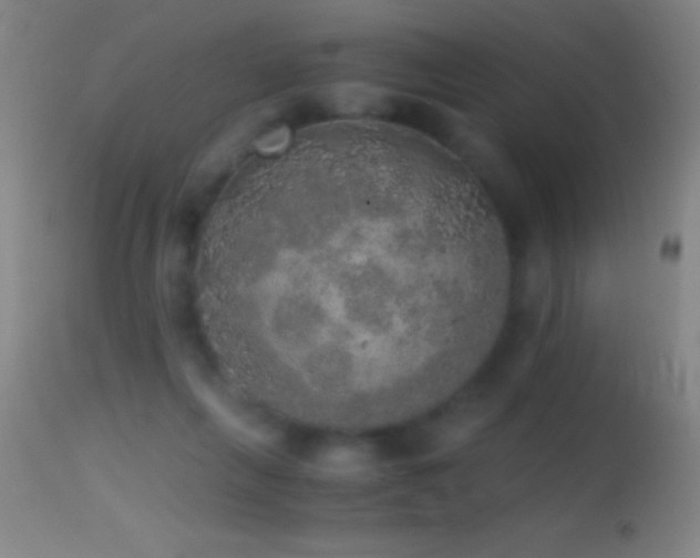 X0000114660263200910201537