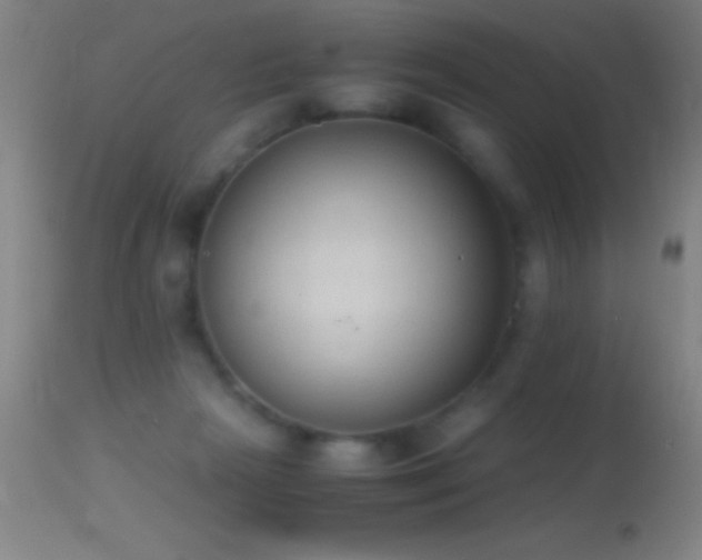 X0000114660265200910201537