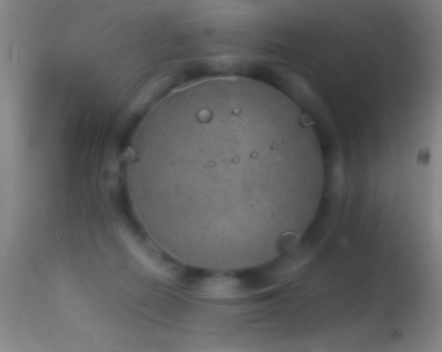 X0000114660266200910201537