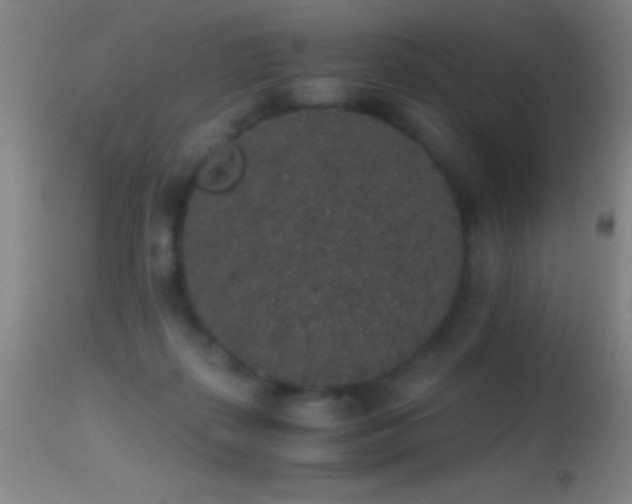 X0000114660267200910201537