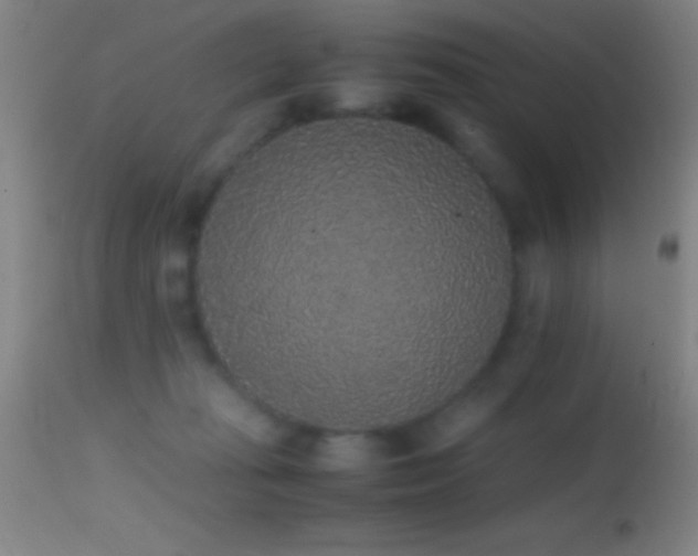 X0000114660269200910201537