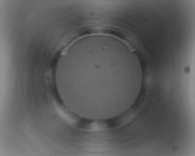 X0000114660270200910201537