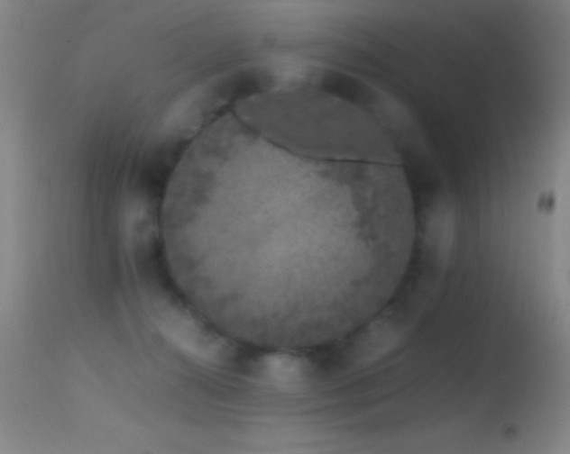 X0000114660272200910201537