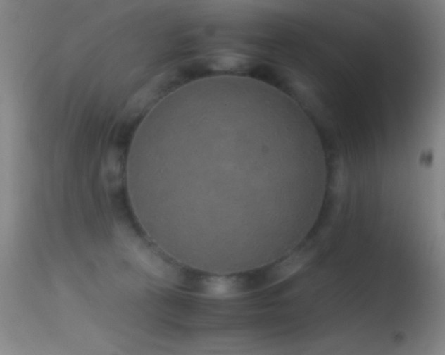 X0000114660273200910201537