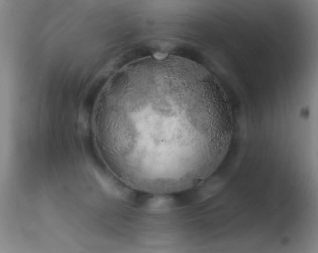 X0000114660274200910201537