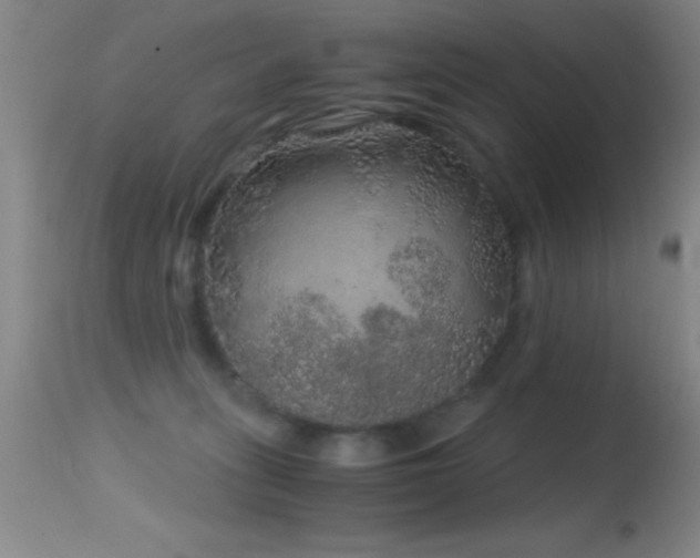 X0000114660275200910201537