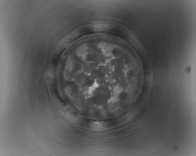 X0000114660277200910201537