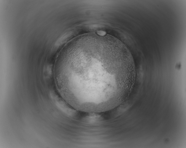 X0000114660278200910201537