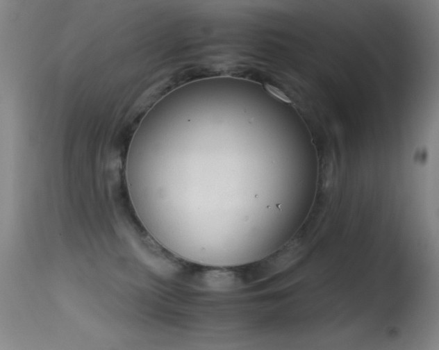 X0000114660279200910201537