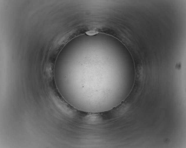 X0000114660280200910201537