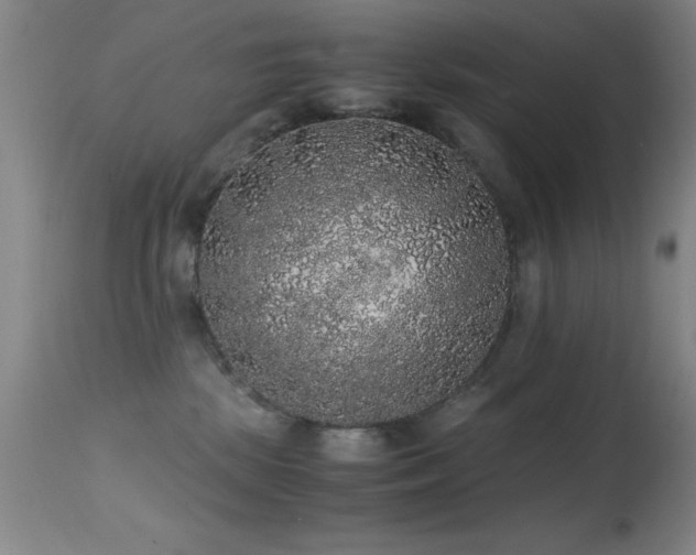 X0000114660281200910201537