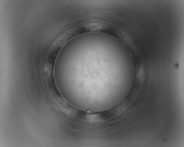 X0000114660283200910201537