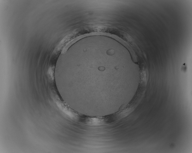 X0000114660286200910201537