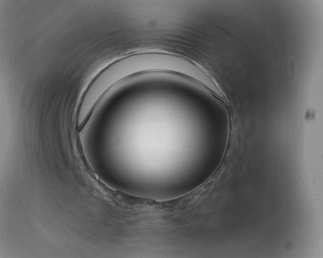 X0000114660289200910201537