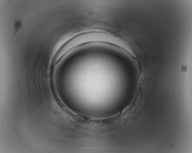 X0000114660292200910201537