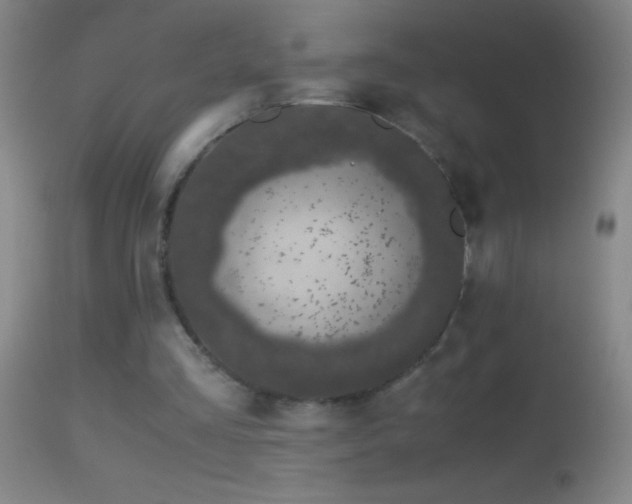 X0000114660293200910201537