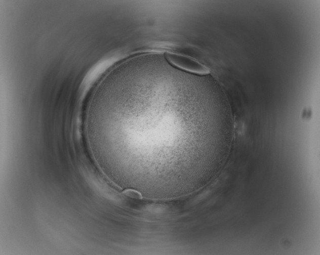 X0000114660294200910201537