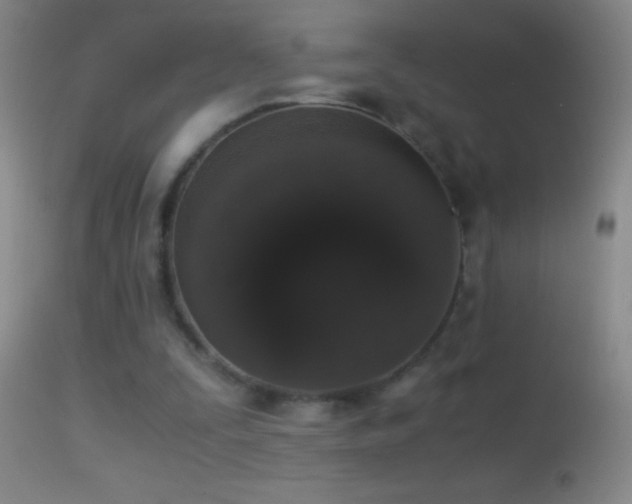 X0000114660295200910201537