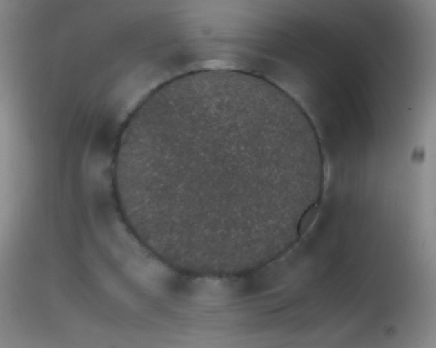 X0000114660297200910201537