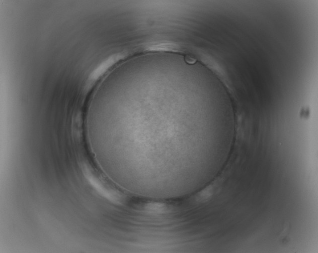 X0000114660298200910201537