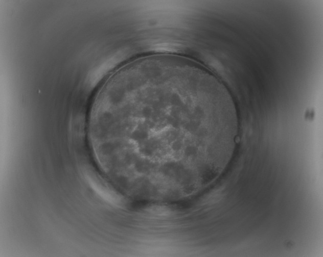 X0000114660299200910201537