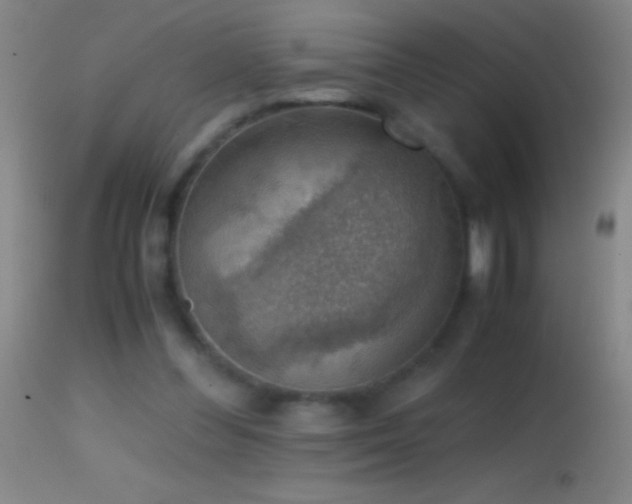 X0000114660300200910201537