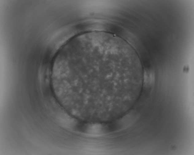 X0000114660301200910201536