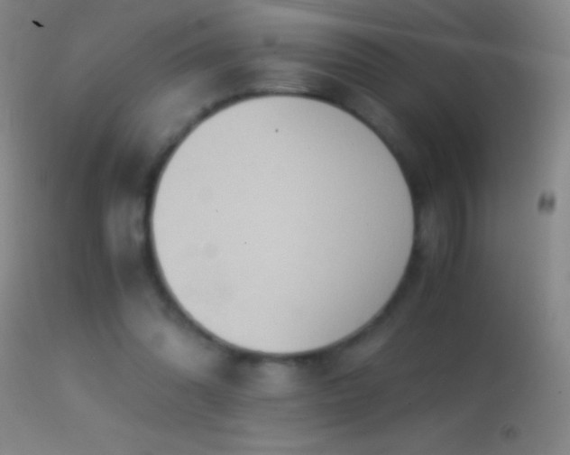 X0000114660302200910201536