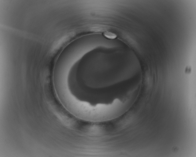 X0000114660303200910201536