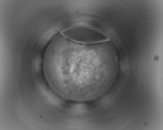 X0000114660304200910201536