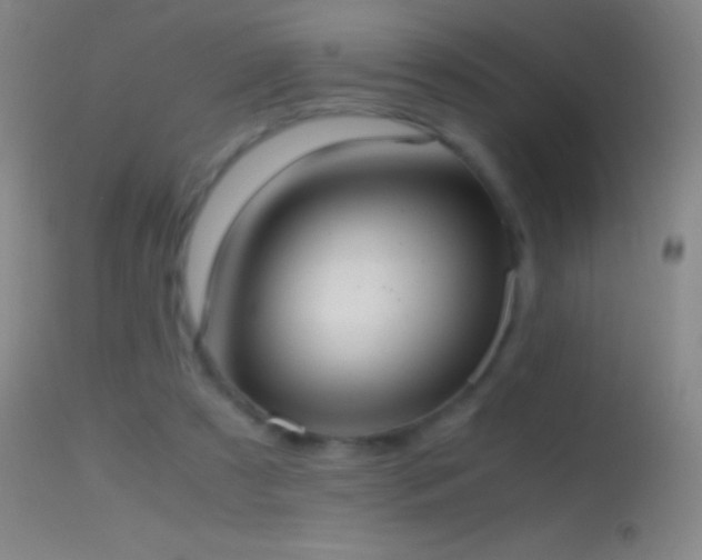 X0000114660305200910201536