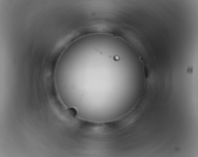 X0000114660306200910201536