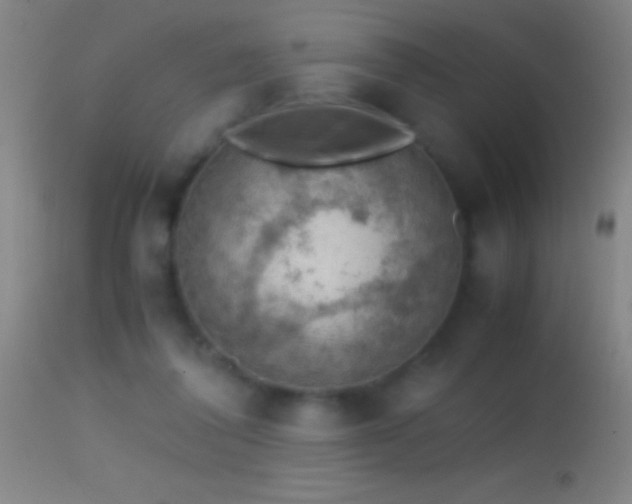 X0000114660308200910201536