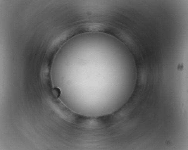 X0000114660310200910201536