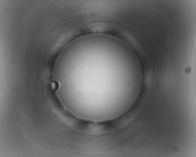 X0000114660311200910201536