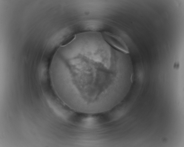 X0000114660312200910201536