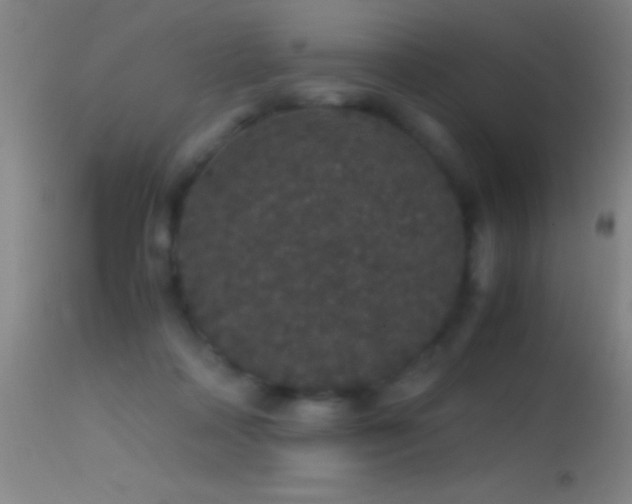 X0000114660314200910201536