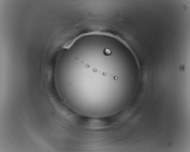 X0000114660315200910201536