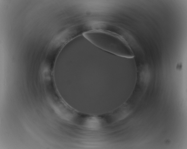 X0000114660316200910201536