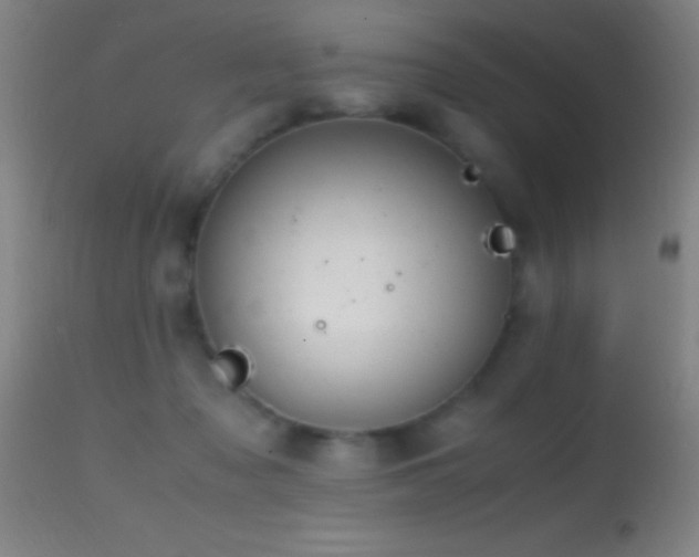 X0000114660317200910201536