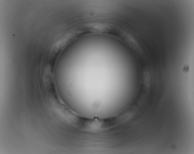 X0000114660318200910201536