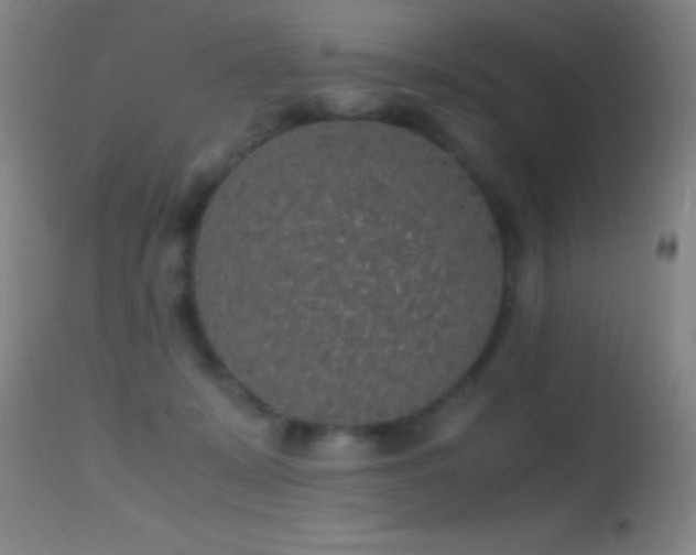 X0000114660319200910201536