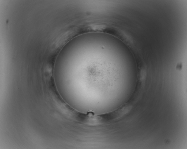 X0000114660321200910201536