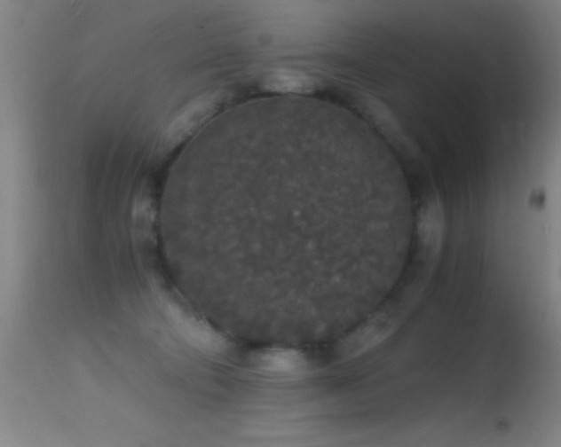 X0000114660322200910201536