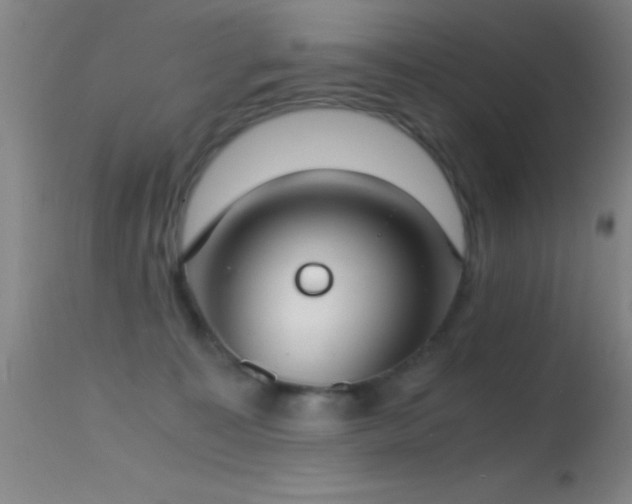 X0000114660323200910201536